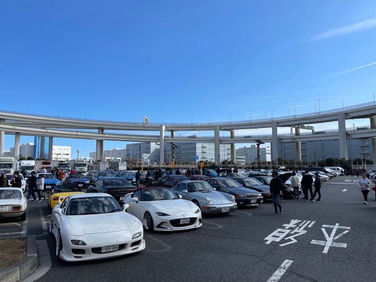 Car Shows